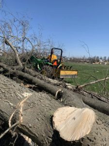 An IBDR volunteer moves trees downed by a tornado that struck Crawford County March 31, 2023.