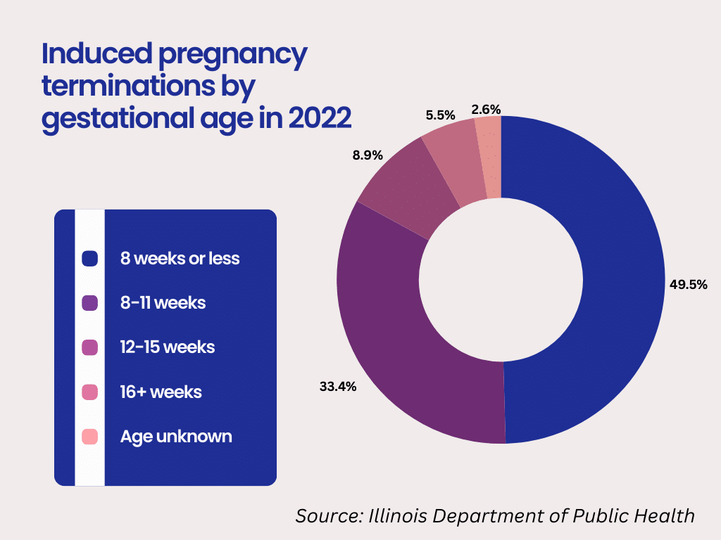 Induced pregnancy terminations by gestational age in 2022